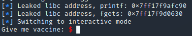 &ldquo;leaking libc addresses&rdquo;